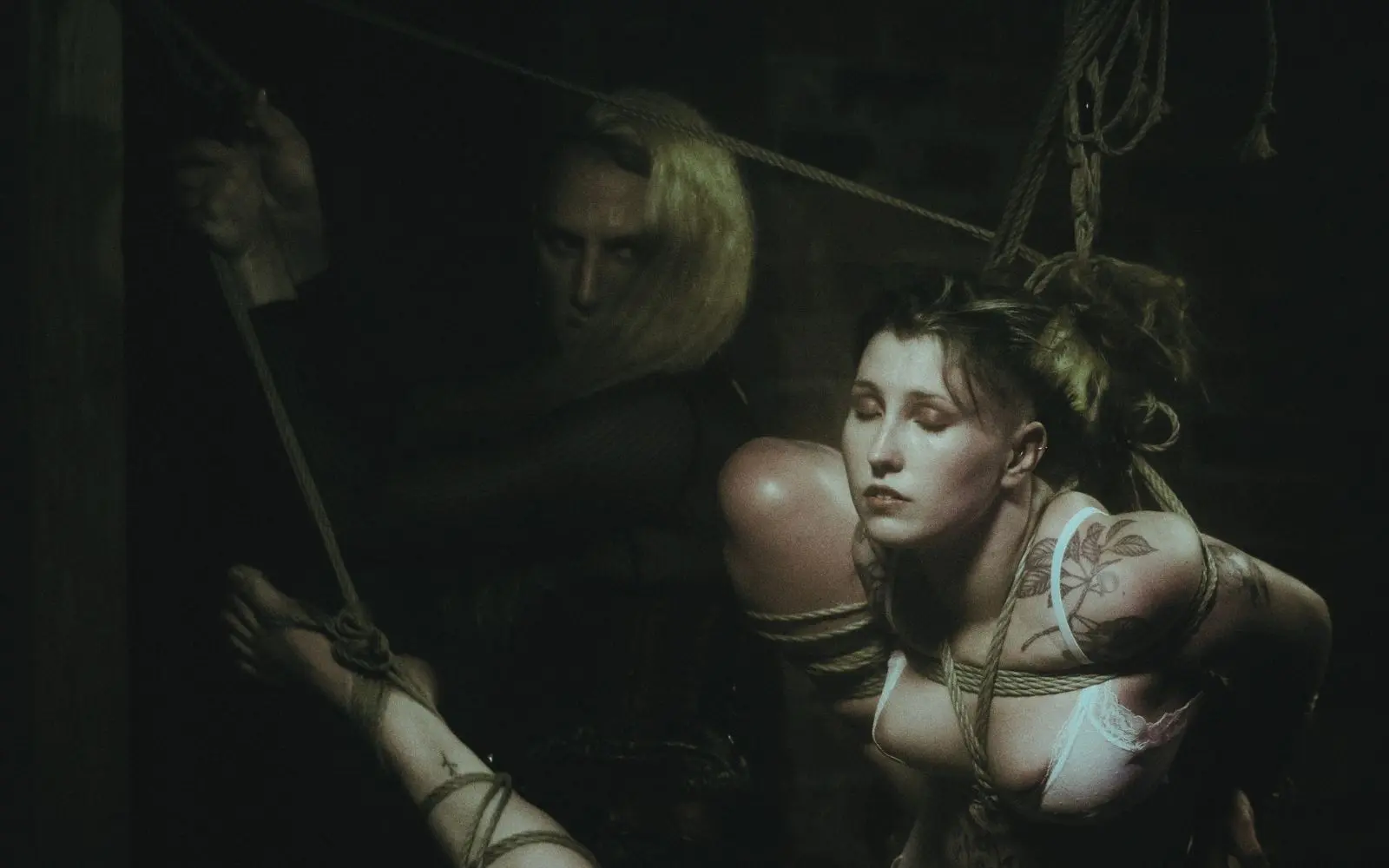 Willcat, Shibari Educator